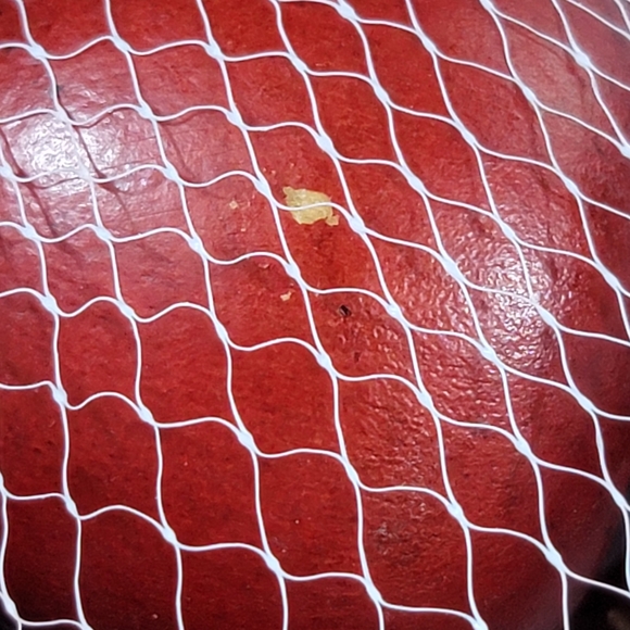 Lot Of 6 Vtg Wooden Decorative Apples - Picture 10 of 12